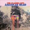 Go to record American head