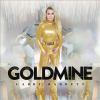 Go to record Goldmine