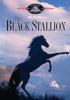 Go to record The Black stallion