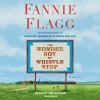 Go to record The wonder boy of Whistle Stop : a novel