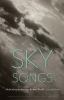 Go to record Sky songs : meditations on loving a broken world