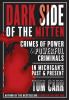 Go to record Dark side of the mitten : crimes of power & powerful crimi...
