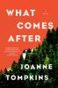 Go to record What comes after : a novel