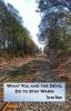 Go to record What you and the devil do to stay warm