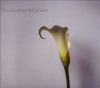 Go to record Calla lily