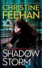 Go to record Shadow storm : a shadow riders novel