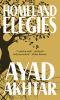 Go to record Homeland elegies