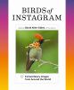 Go to record Birds of Instagram : extraordinary images from around the ...