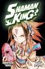 Go to record Shaman King. Volumes 1, 2, 3