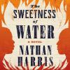 Go to record The sweetness of water : a novel