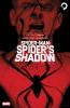 Go to record Spider-Man : spider's shadow