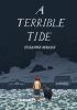 Go to record A terrible tide : a story of the Newfoundland Tsunami of 1...