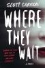 Go to record Where they wait : a novel