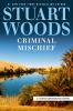 Go to record Criminal mischief : a Stone Barrington novel