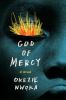 Go to record God of mercy : a novel