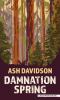 Go to record Damnation spring : a novel