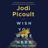Go to record Wish you were here : a novel