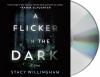 Go to record A flicker in the dark : a novel