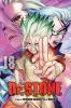Go to record Dr. Stone. 18, Science is elegant