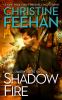 Go to record Shadow fire : a shadow riders novel