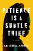 Go to record Patience is a subtle thief : a novel