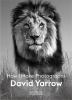 Go to record David Yarrow : how I make photographs