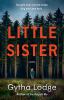 Go to record Little sister : a novel