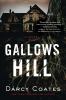 Go to record Gallows Hill : a novel