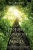 Go to record La profunda respiración de los árboles : cómo aprenden los...