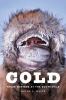 Go to record Cold : three winters at the South Pole