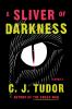 Go to record A sliver of darkness : stories