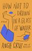Go to record How not to drown in a glass of water : [a novel]