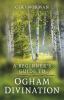 Go to record A beginner's guide to Ogham divination