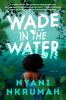 Go to record Wade in the water : a novel