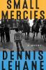 Go to record Small mercies : a novel