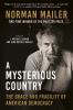 Go to record A mysterious country : the grace and fragility of American...