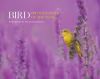 Go to record Bird photographer of the year. Collection 7