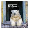 Go to record Wildlife photographer of the year. Portfolio 32