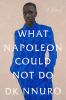 Go to record What Napoleon could not do
