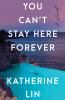Go to record You can't stay here forever : a novel