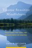 Go to record Trauma-sensitive mindfulness : practices for safe and tran...