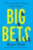 Go to record Big bets : how large-scale change really happens