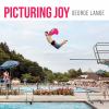 Go to record Picturing joy : stories of connection