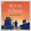 Go to record The little liar : a novel