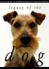 Go to record Legacy of the dog : the ultimate illustrated guide to over...