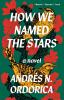 Go to record How we named the stars : a novel