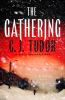 Go to record The gathering : a novel