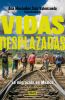 Go to record Vidas desplazadas : la migración en México