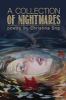 Go to record A collection of nightmares : poetry