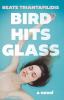 Go to record Bird hits glass : a novel